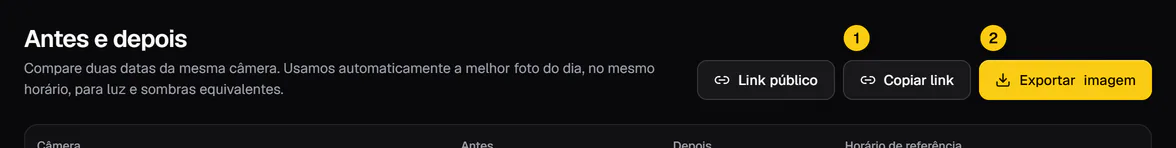 Botões Copiar link e Exportar imagem no topo da tela Antes e depois.