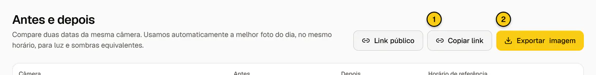 Botões Copiar link e Exportar imagem no topo da tela Antes e depois.