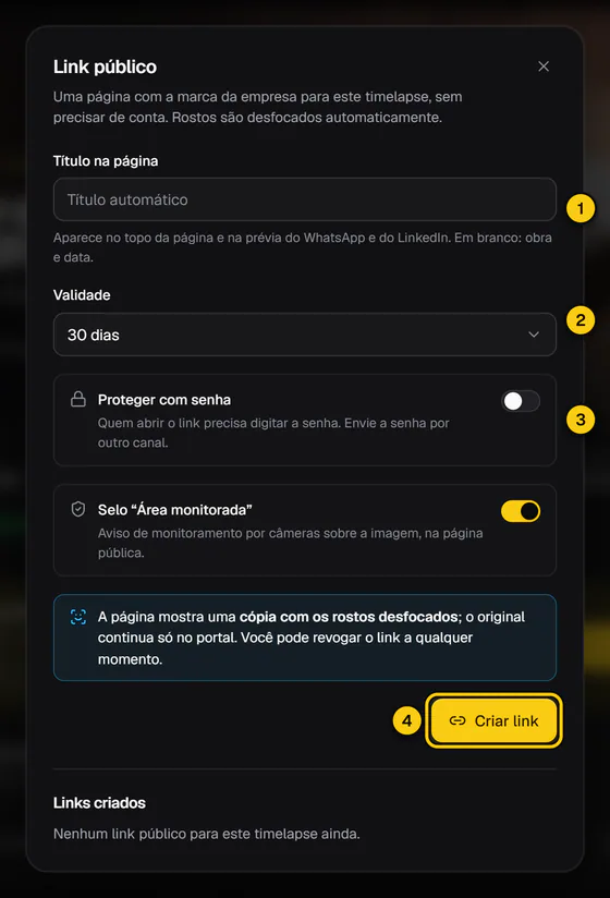 Janela Link público aberta pelo player, com o título da página, a validade, a opção de proteger com senha e o botão Criar link.