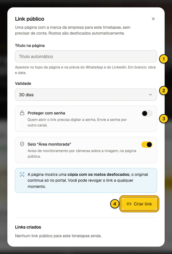 Janela Link público aberta pelo player, com o título da página, a validade, a opção de proteger com senha e o botão Criar link.