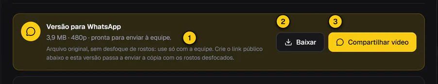 Bloco Versão para WhatsApp no player, com o tamanho do arquivo e os botões Baixar e Compartilhar vídeo.