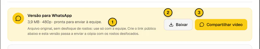 Bloco Versão para WhatsApp no player, com o tamanho do arquivo e os botões Baixar e Compartilhar vídeo.